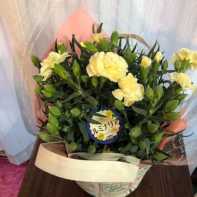 satooさんの実例写真
