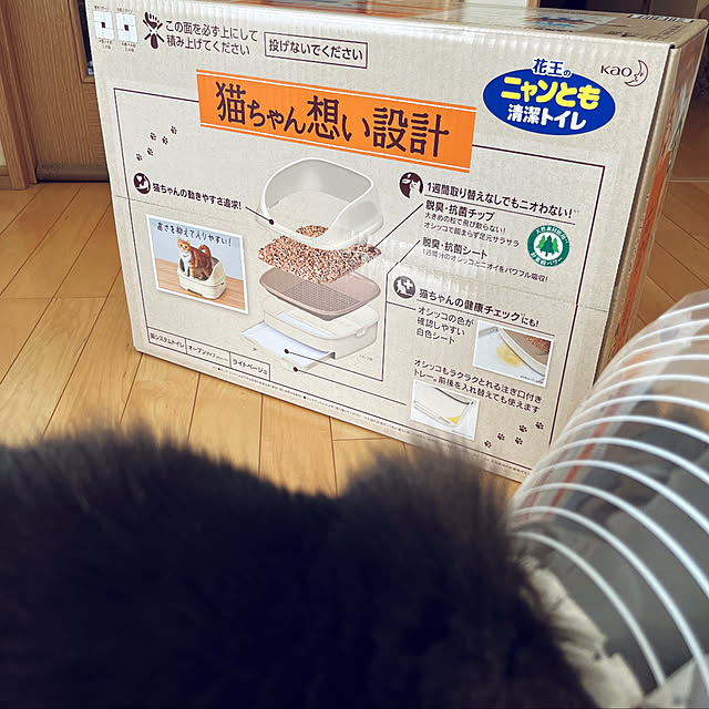 yukarin-gardenさんの部屋