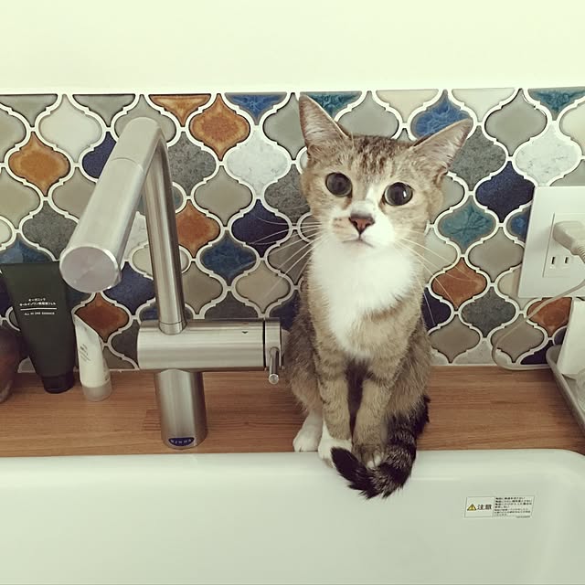 chihile_leさんの実例写真