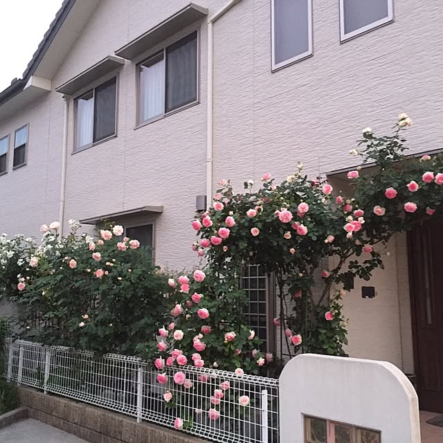 angelrose.yuuさんの実例写真
