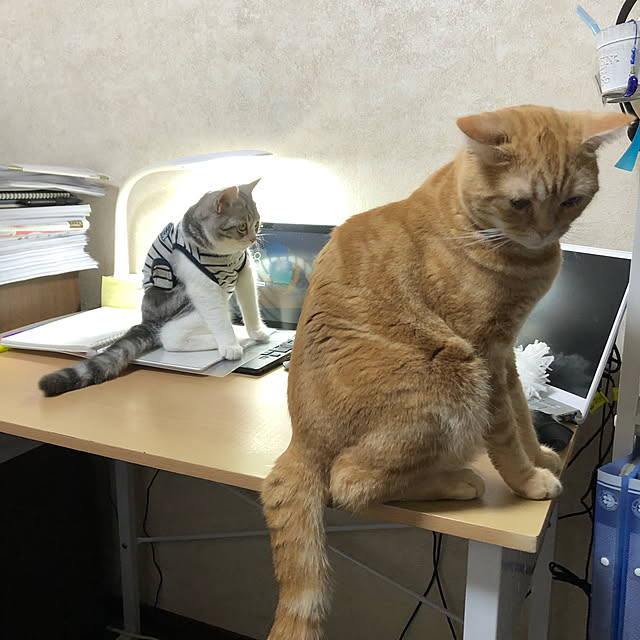 Atelier.mさんの実例写真