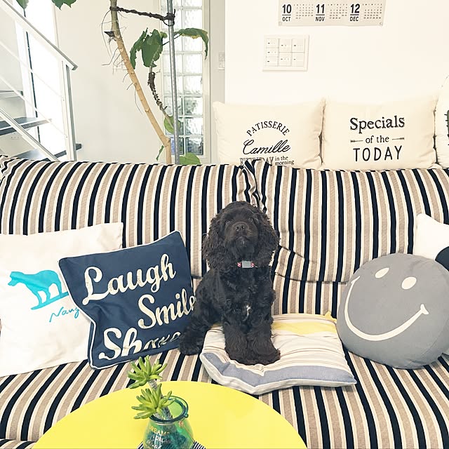Saorinさんの実例写真