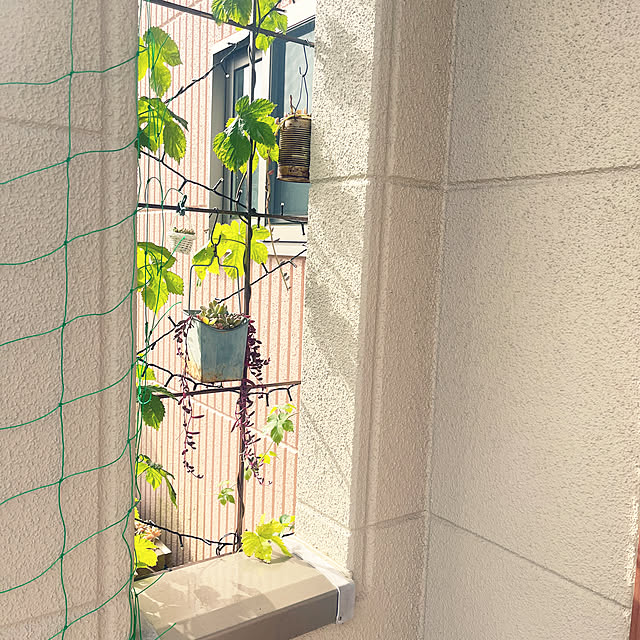 pekoさんの部屋