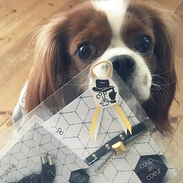 miyaさんの実例写真