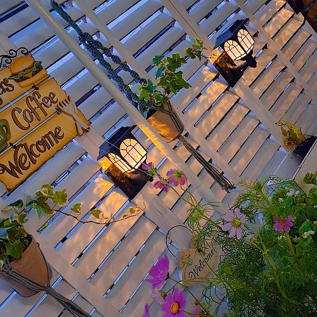 moko.7525himeさんの部屋