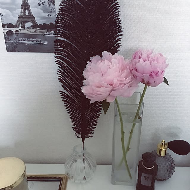 viviさんの実例写真