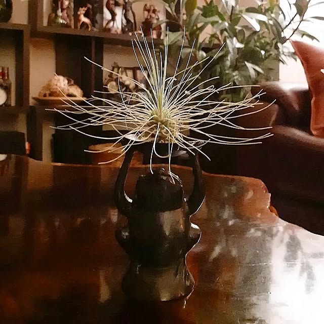 seijiさんの部屋