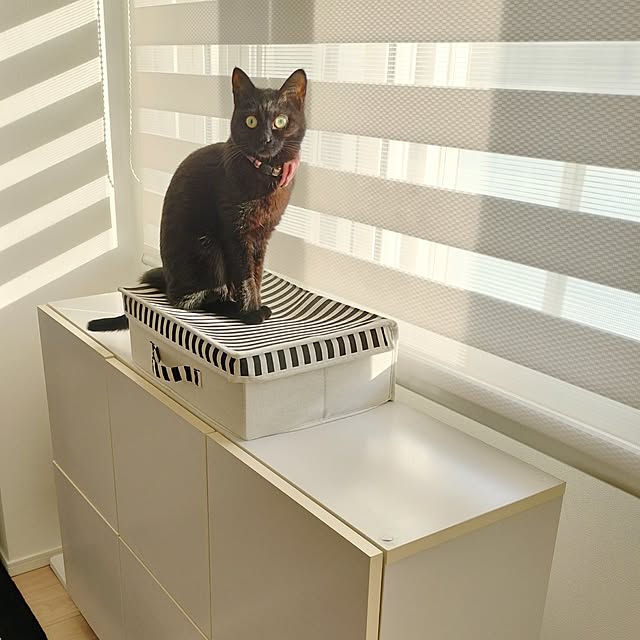 sakuraさんの部屋
