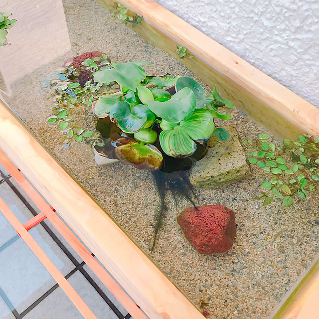 2boyMAMAさんの実例写真