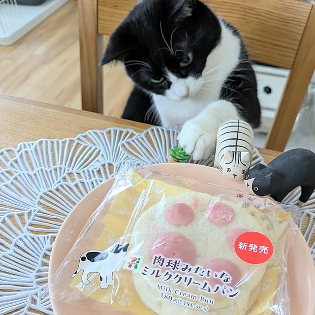 hihaさんの部屋