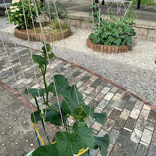 chiiyanさんの部屋