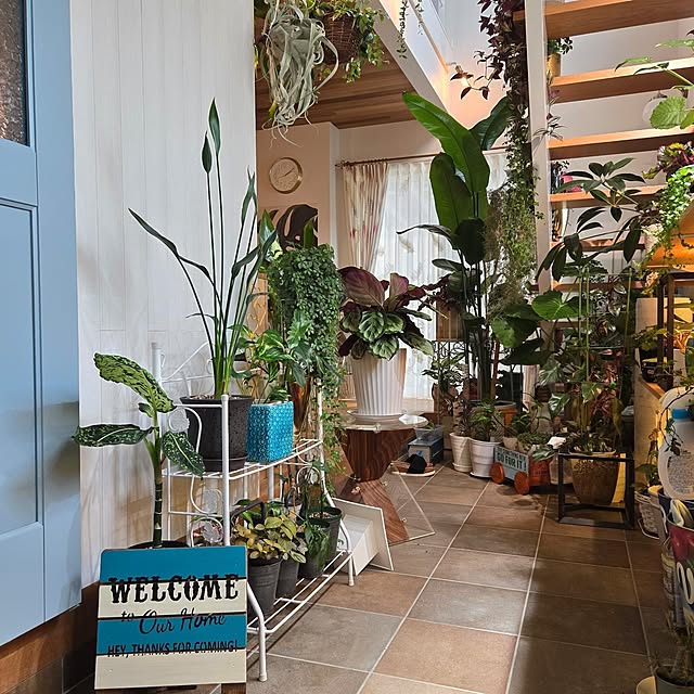 nonbiri_house_さんの部屋