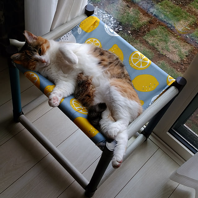 azumonaさんの実例写真