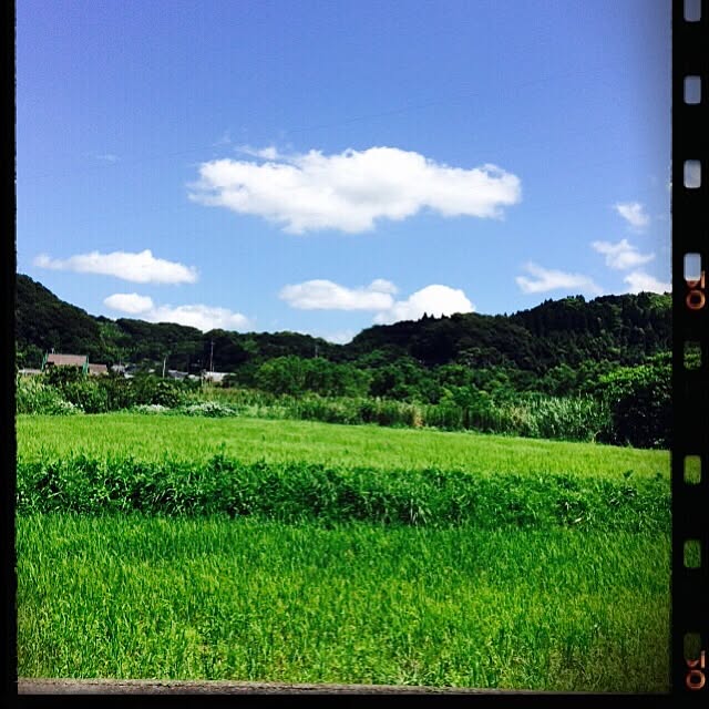 実例写真