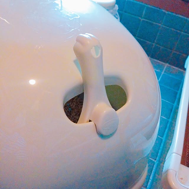 cocoroさんの部屋