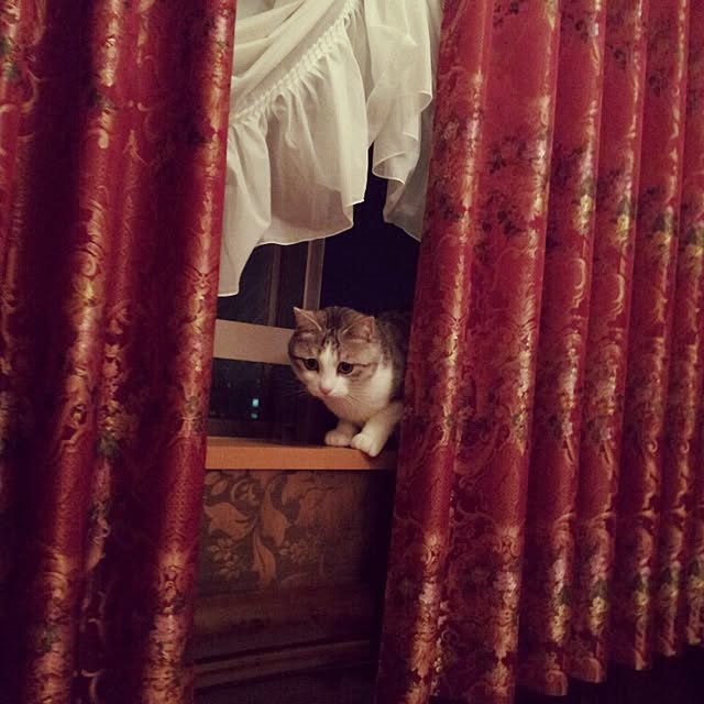 emmyyさんの実例写真