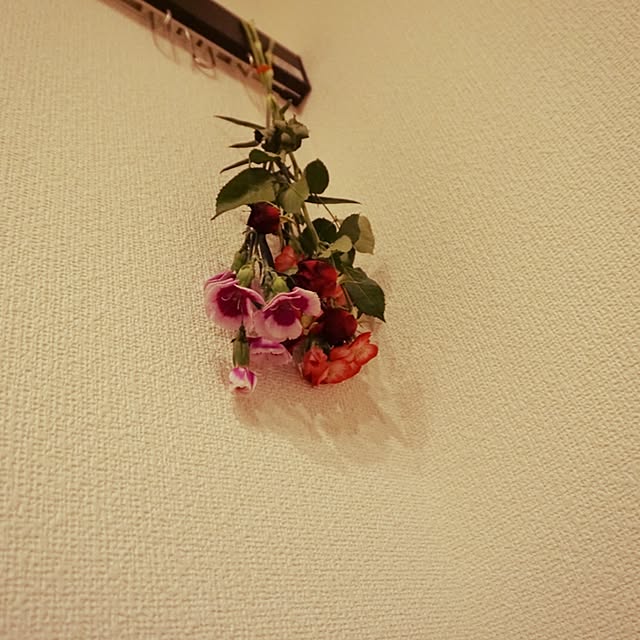 ragos26さんの実例写真