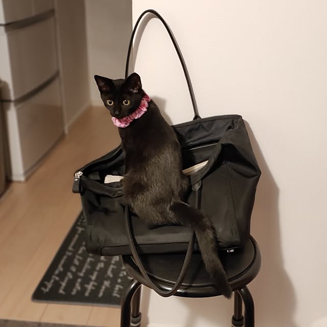 sakuraさんの部屋