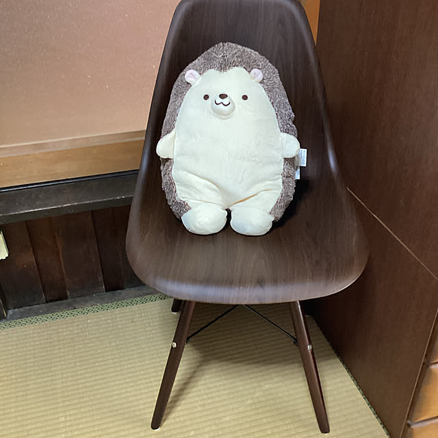 conatuさんの実例写真