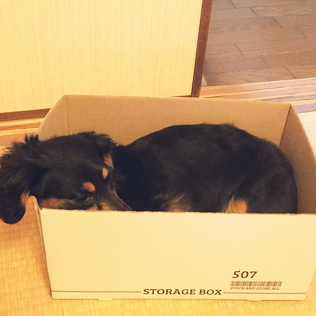 ohanaさんの実例写真