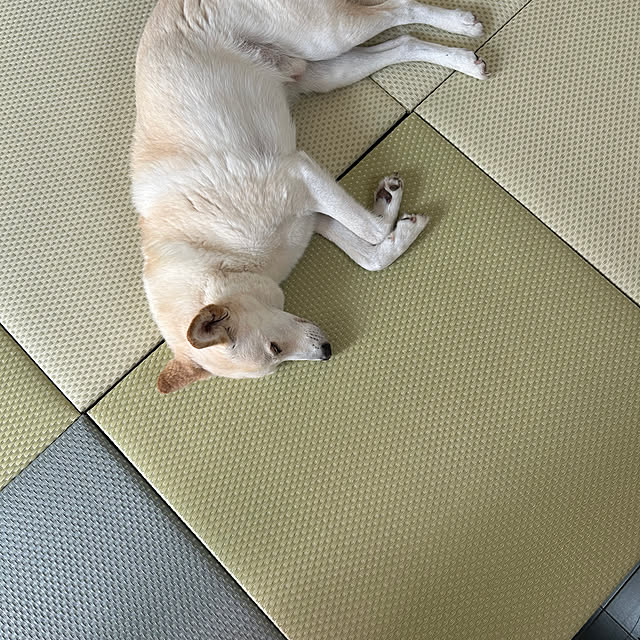 tanboさんの部屋