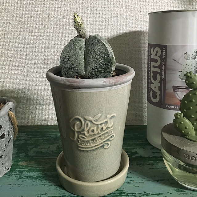 tetra163さんの実例写真