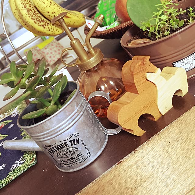 キッチン/多肉植物/観葉植物/雑貨/北欧のインテリア実例 - 2015-10-20 16:26:38