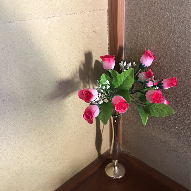 aoinokimiさんの実例写真
