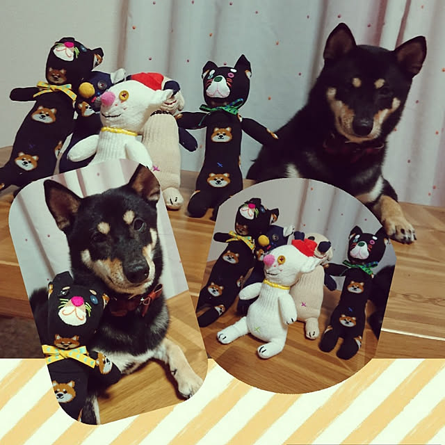 xxxakyxxxさんの実例写真