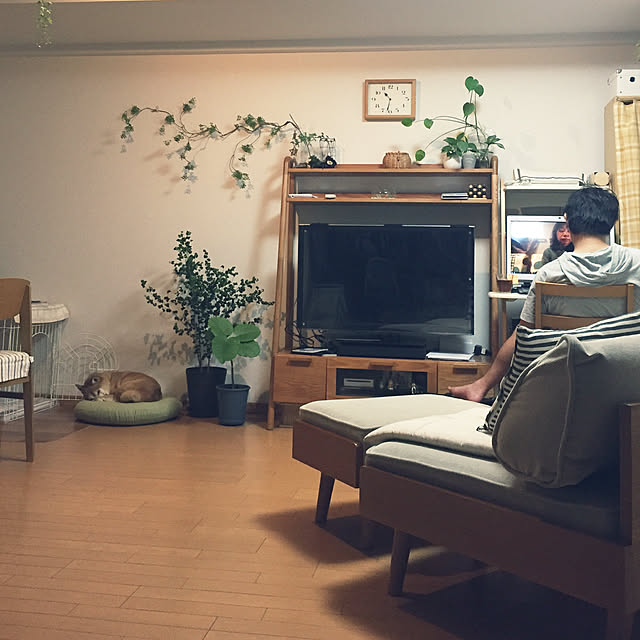 shizu2380さんの実例写真