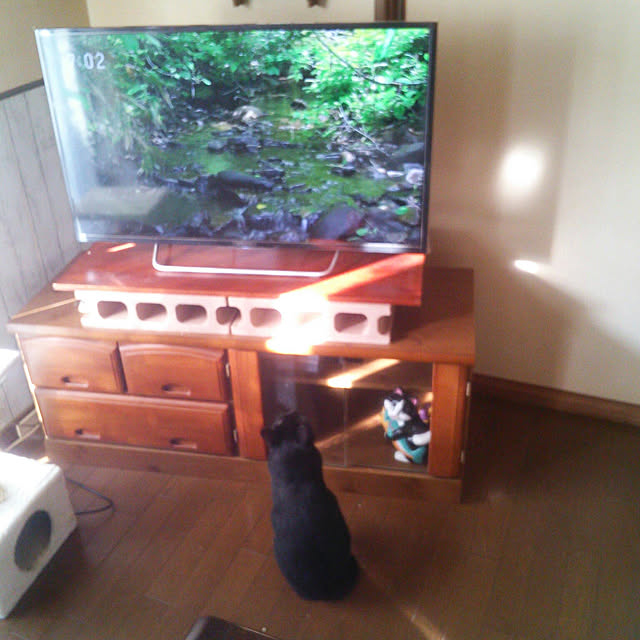 Tomopさんの実例写真