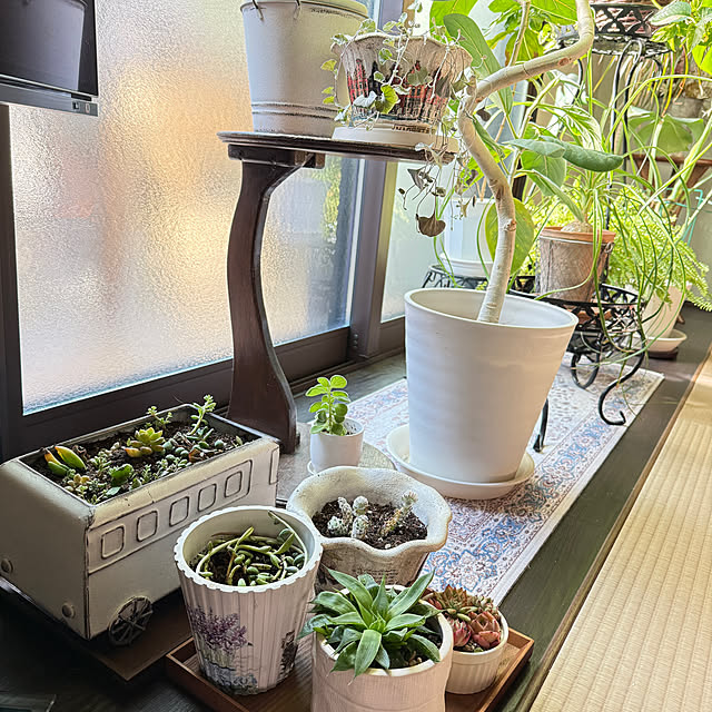 yumirilさんの実例写真