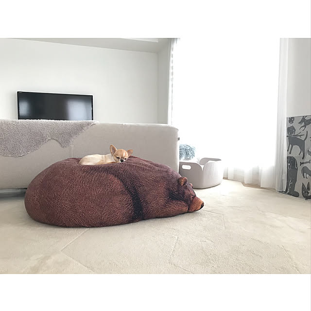 haruhinaさんの実例写真