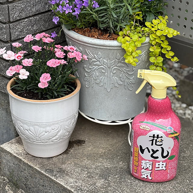 maayaさんの部屋