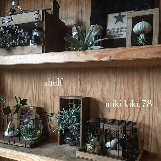 Mikiさんの実例写真