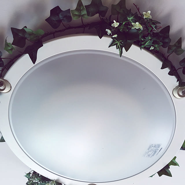 beemerさんの実例写真