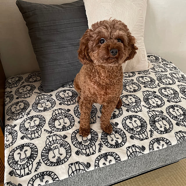 masuさんの実例写真