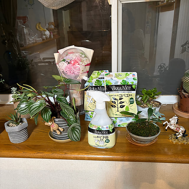 chIoeさんの実例写真