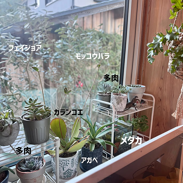 onsix777さんの部屋