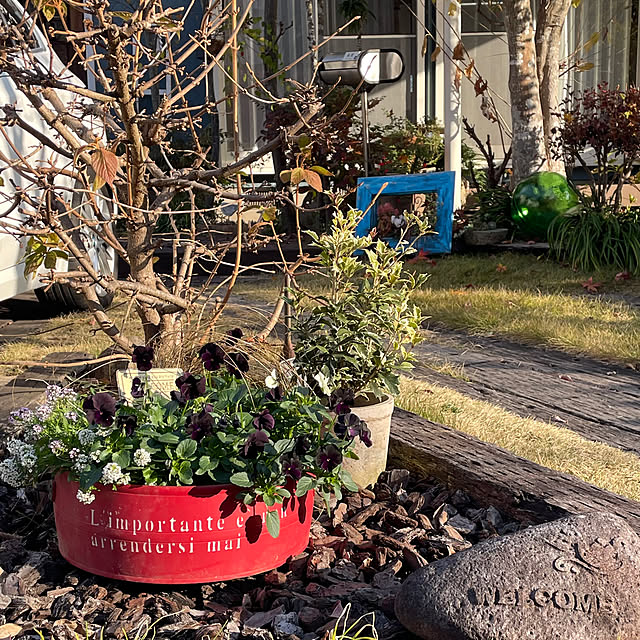 nobikoさんの部屋