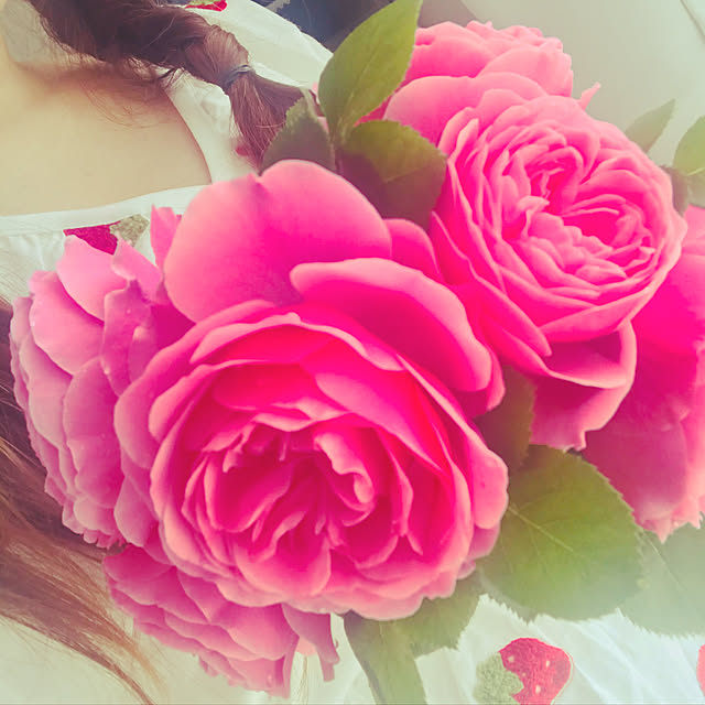 princessさんの実例写真