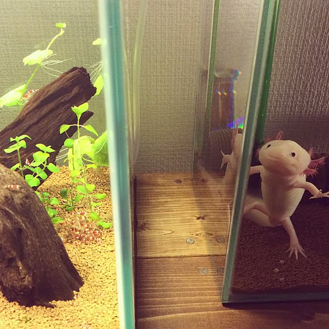 hiro_さんの実例写真