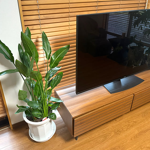 mizuyoさんの実例写真