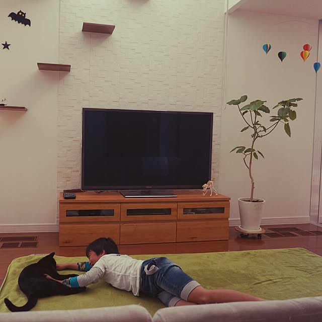 arutotoさんの実例写真