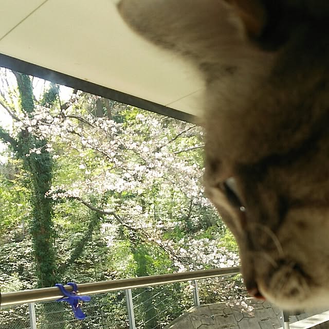 mzk5678910さんの実例写真