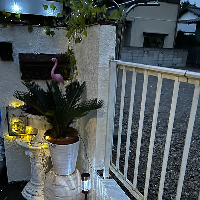 ikunyanさんの部屋