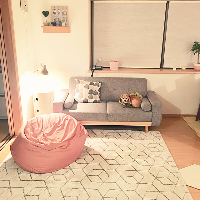 haritakaさんの実例写真
