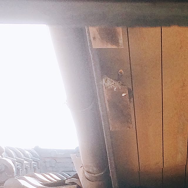 bm.aoiさんの実例写真