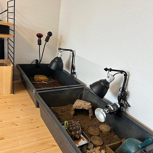 nee_roomさんの部屋