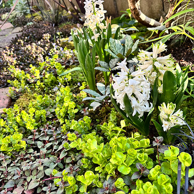 kyoko1124koさんの部屋